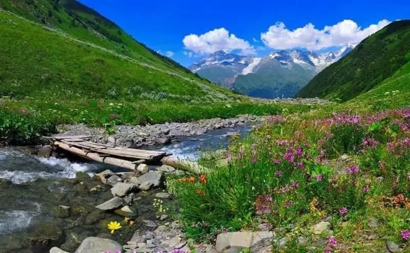 Ceymakçur Zafran Otel