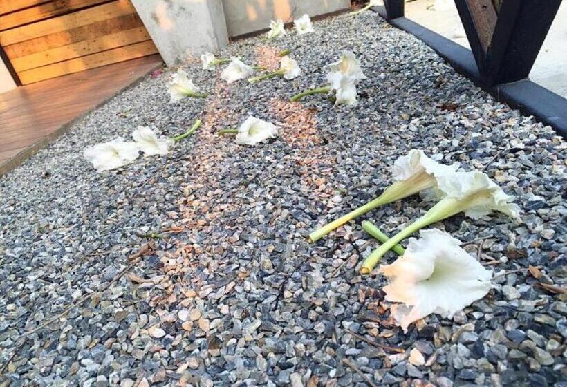 בית מלון כפרי Maalamaii