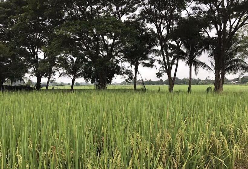 בית מלון כפרי Suwannatara Resort