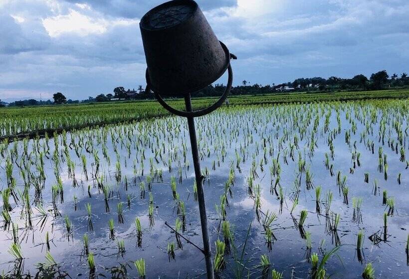 בית מלון כפרי Suwannatara Resort