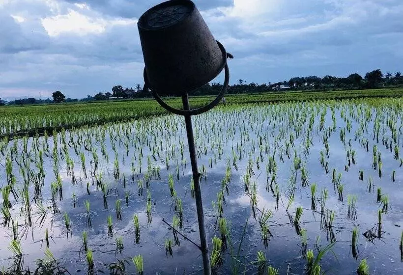 هتل Suwannatara Resort