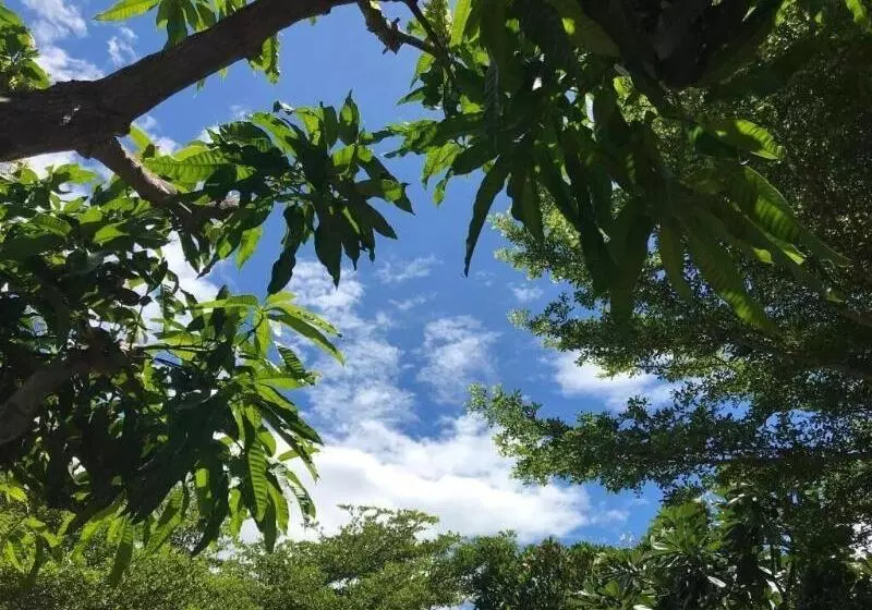 پانسیون Namaste Resort