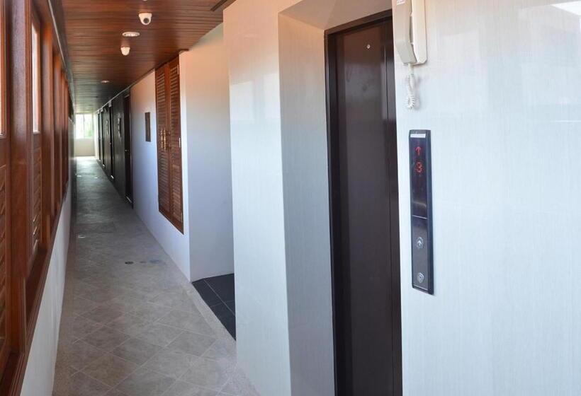 הוסטל David Residence