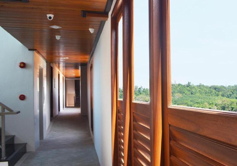 הוסטל David Residence