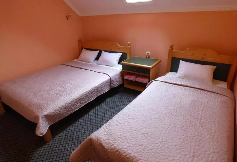 تختخواب و صبحانه Vila Palma Palic