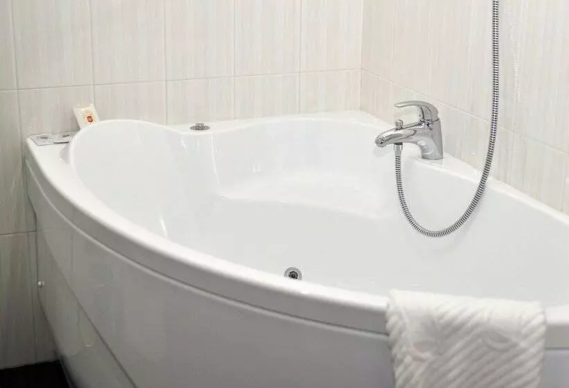 هتل Poruchik Golicin