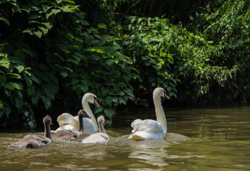 هتل Saint Paul Accommodation