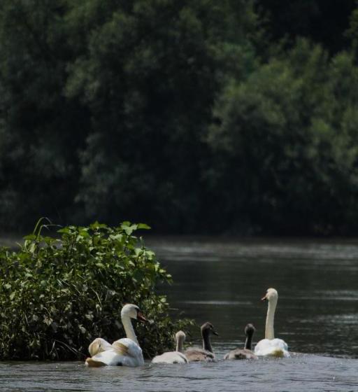 هتل Saint Paul Accommodation