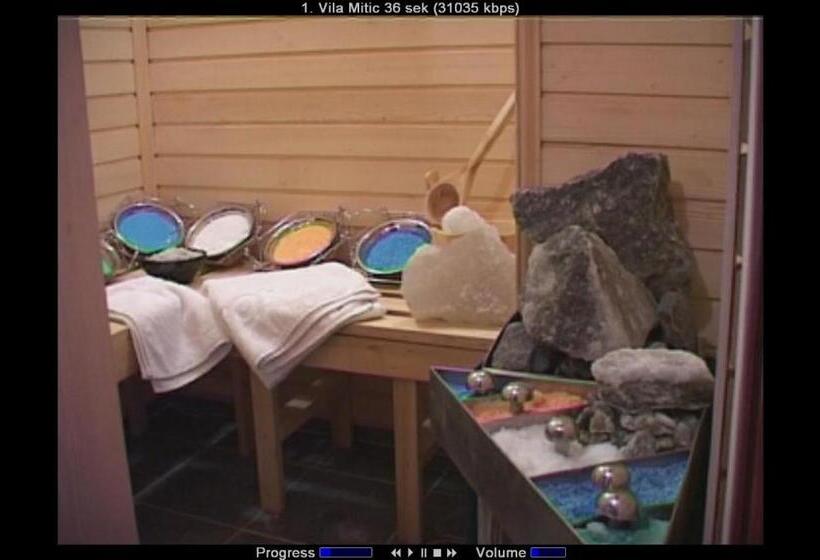 هتل Vila Mitic Luxx Spa Centar