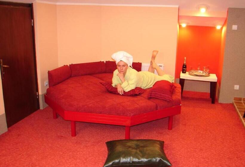 هتل Vila Mitic Luxx Spa Centar