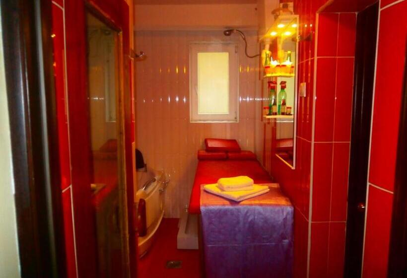 هتل Vila Mitic Luxx Spa Centar