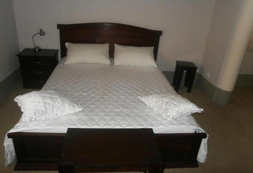 هتل Vila Mitic Luxx Spa Centar