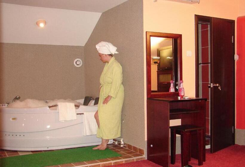 هتل Vila Mitic Luxx Spa Centar