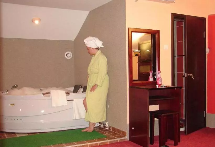 هتل Vila Mitic Luxx Spa Centar