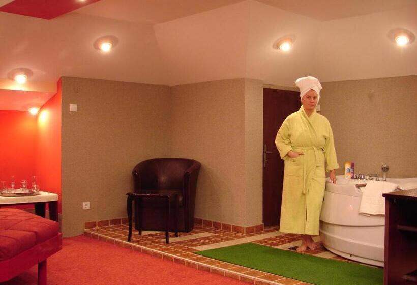 هتل Vila Mitic Luxx Spa Centar