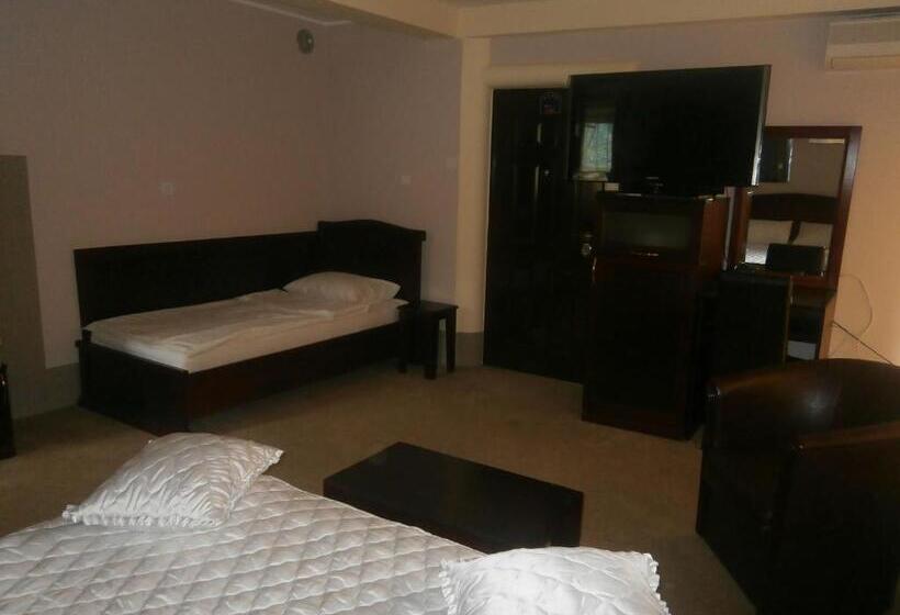 هتل Vila Mitic Luxx Spa Centar