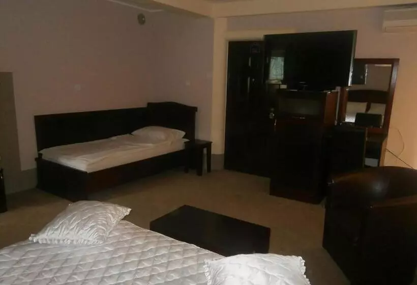 هتل Vila Mitic Luxx Spa Centar