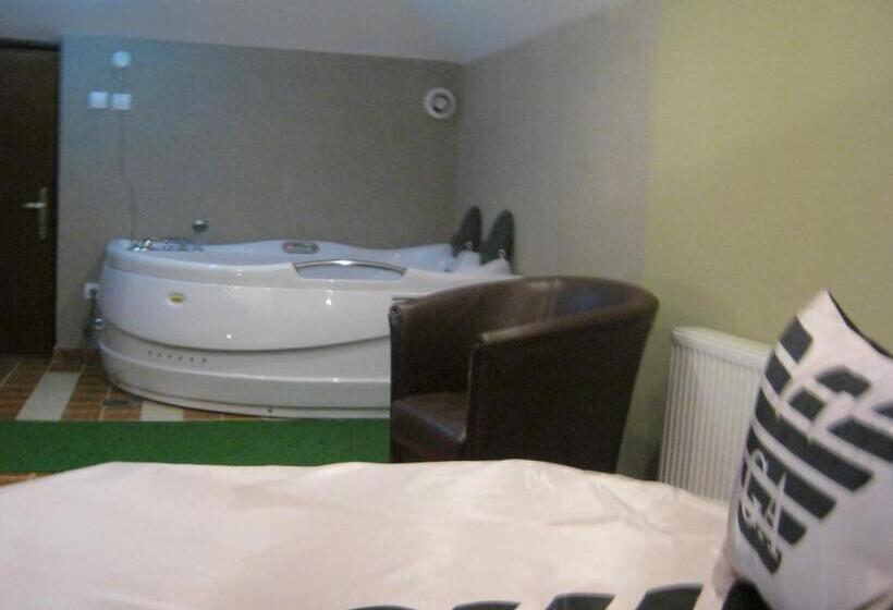 هتل Vila Mitic Luxx Spa Centar