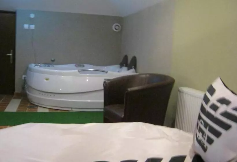 هتل Vila Mitic Luxx Spa Centar