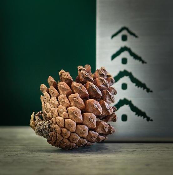 The Pino Hotel Pakchong