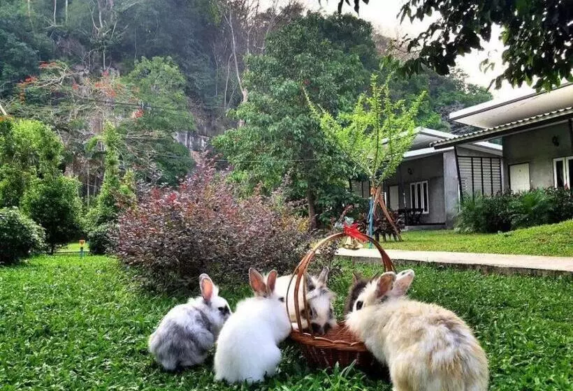 V Valley Resort