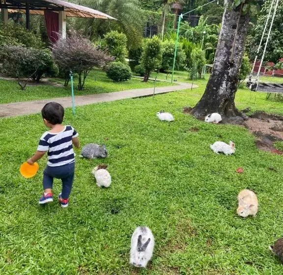 V Valley Resort