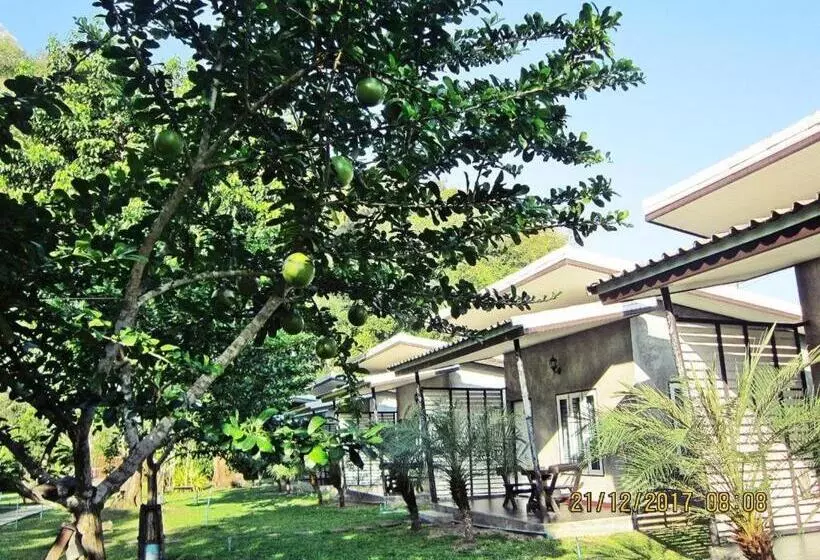 V Valley Resort