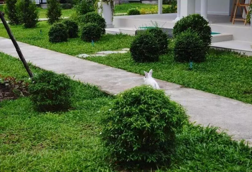 V Valley Resort