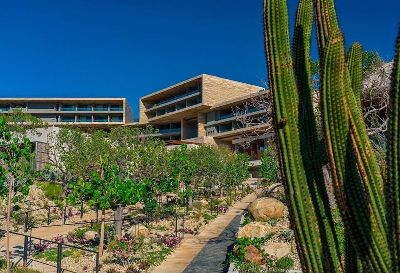 호텔 The Residences At Solaz, A Luxury Collection Resort, Los Cabos A Marriott