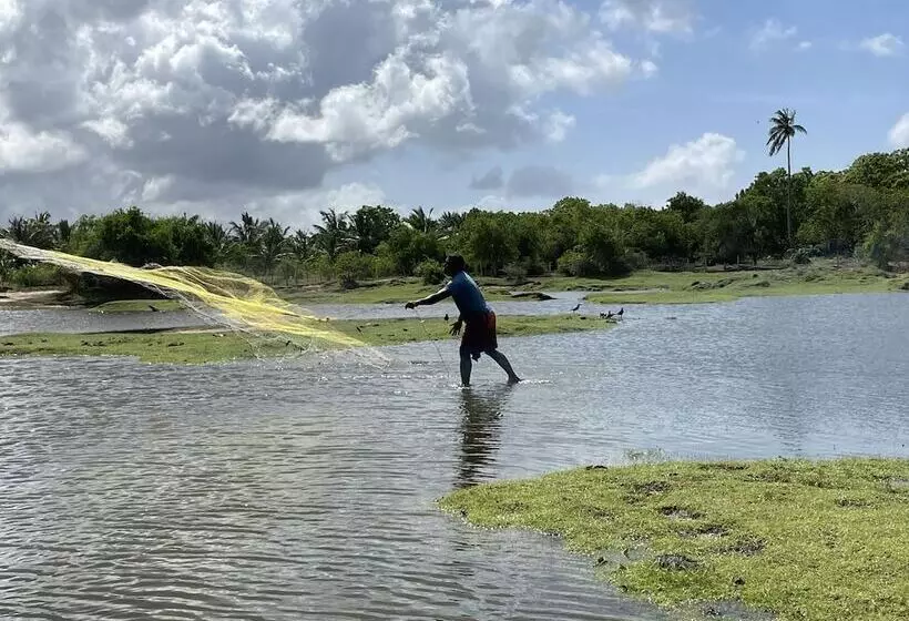 Lomakeskus Allure Yala