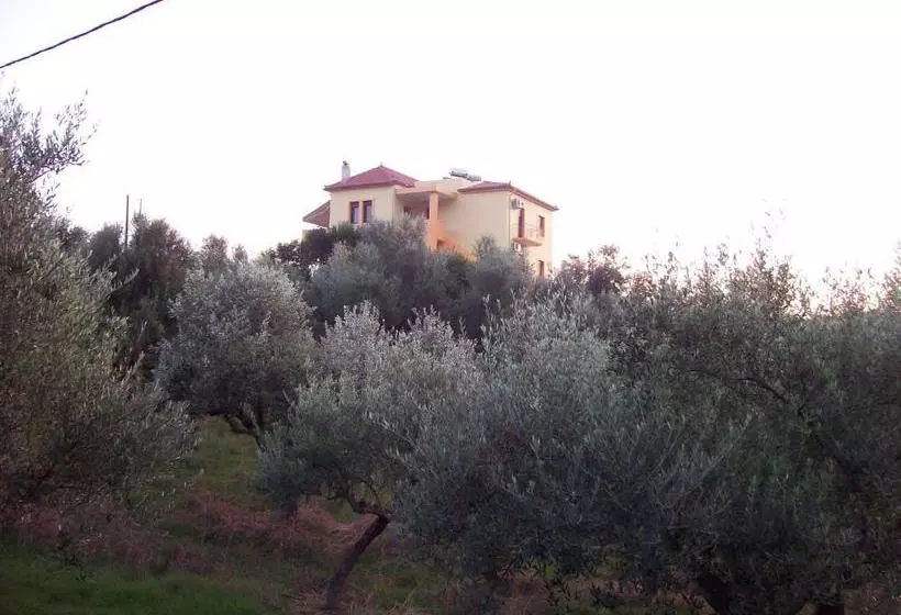 Elaionas Studios