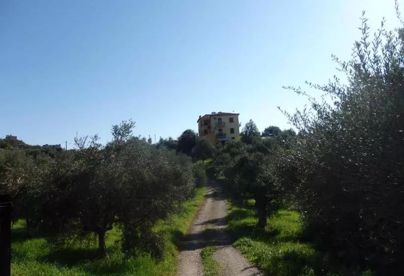 Elaionas Studios