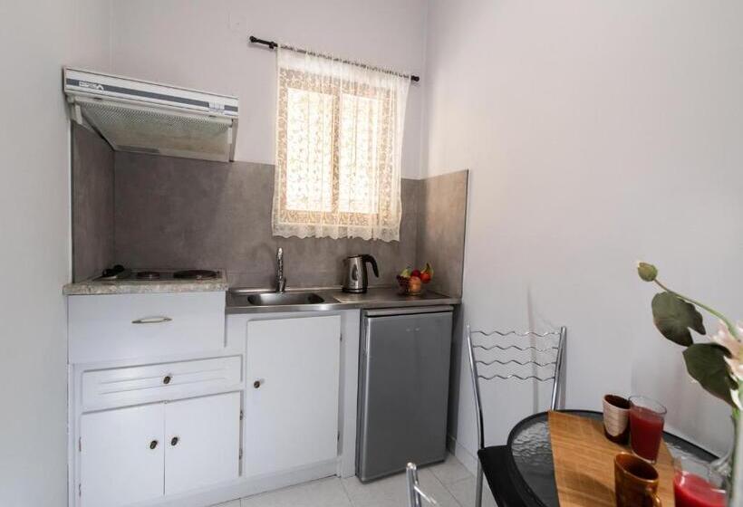 בית מלון כפרי Aggelos Apartments & Deluxe Studios