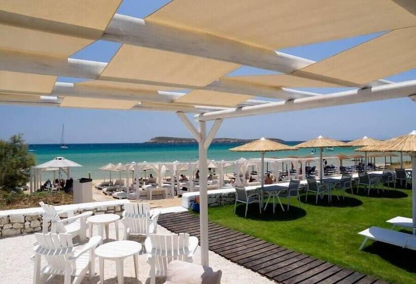 فندق Amaryllis Beach