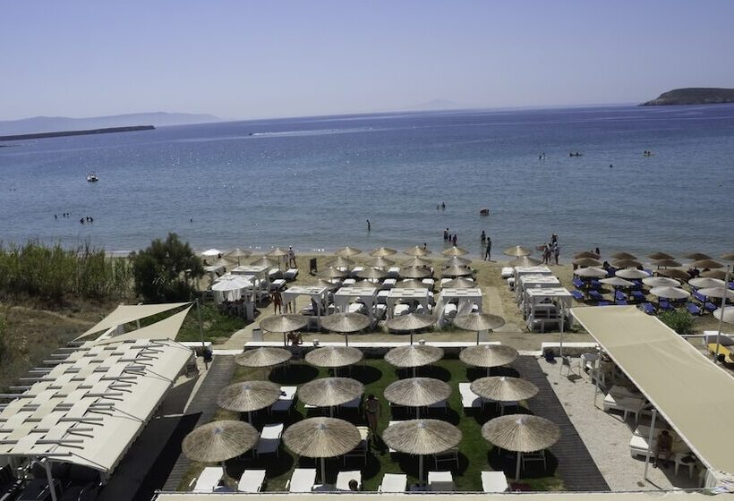 فندق Amaryllis Beach