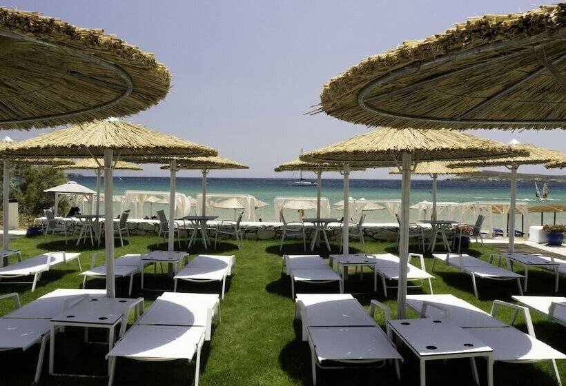 فندق Amaryllis Beach