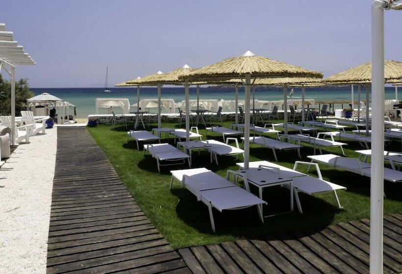 فندق Amaryllis Beach