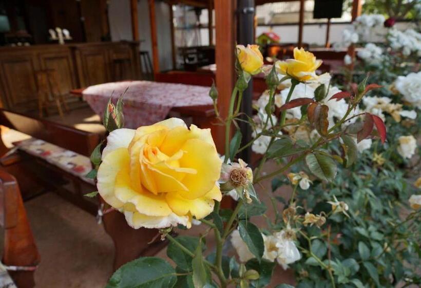 Ryor Hotel   All Inclusive & Free Parking