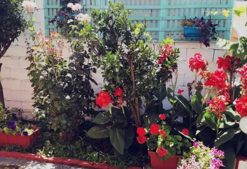 ホテル Yanna's Apartments Vacation Homes