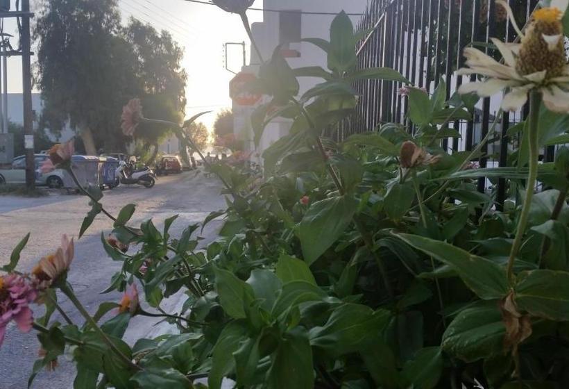 פנסיון Eleni Rooms