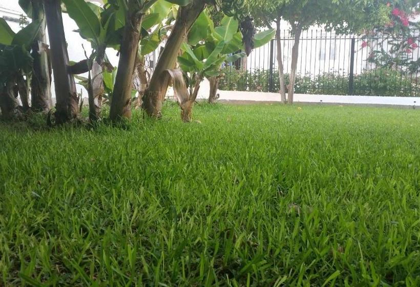 פנסיון Eleni Rooms