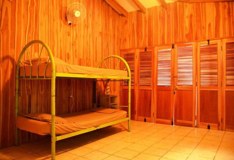 ユースホステル Casa Del Mar Surf Destiny