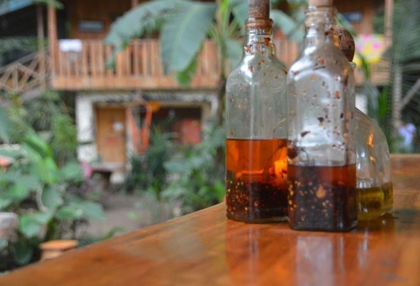 ユースホステル Casa Del Mar Surf Destiny