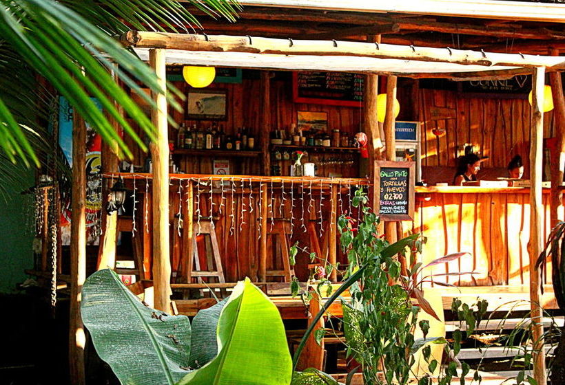 ユースホステル Casa Del Mar Surf Destiny