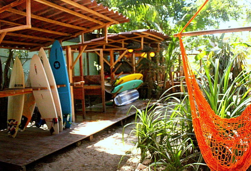 ユースホステル Casa Del Mar Surf Destiny