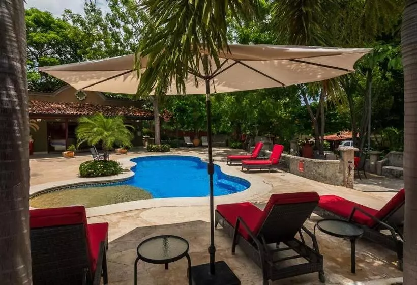 ホテル Casas Del Toro Playa Flamingo