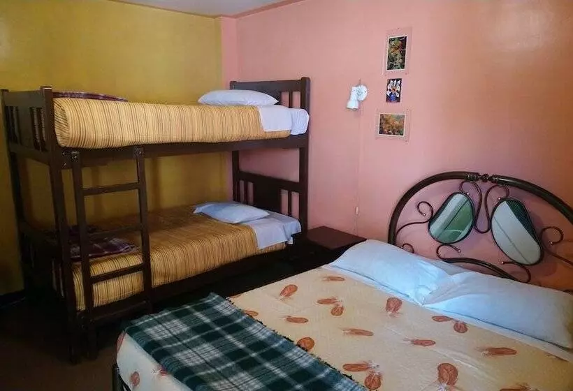 ホテル El Manzano Hostel