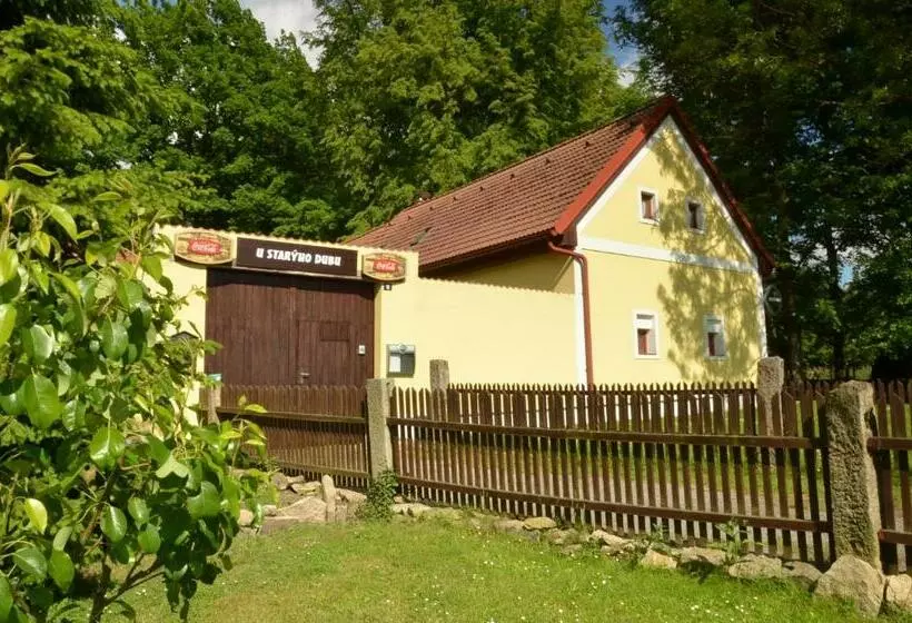 ホテル Pension U Starýho Dubu