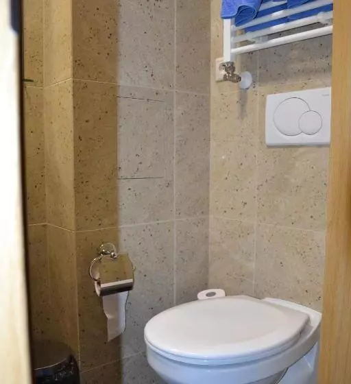 Hotelli Penzion Aurooms