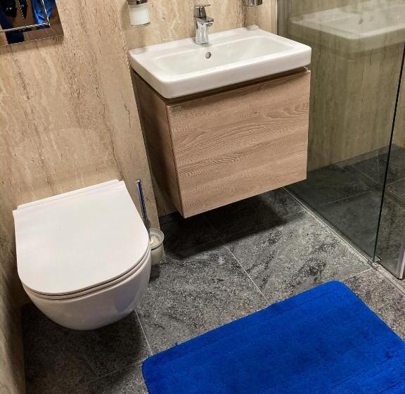 فندق Penzion Aurooms